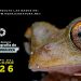 CONABIO abre la convocatoria del 7º Concurso Nacional de Fotografía de Naturaleza