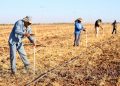 El Gobierno de México desarrolla obras hidráulicas al sur de Sonora