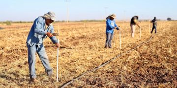 El Gobierno de México desarrolla obras hidráulicas al sur de Sonora