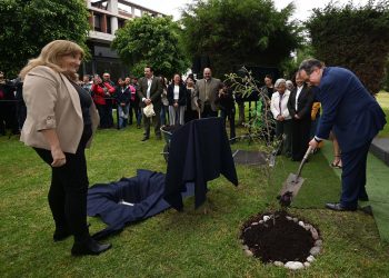 Siembran 475 árboles en las FES para celebrar los 475 años de la fundación de la Universidad de México