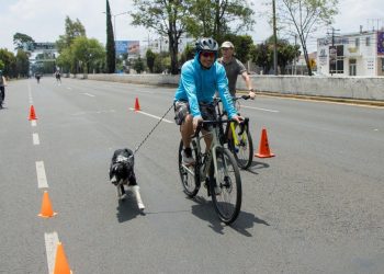 Reúne Reciclatón en la Vía Recreativa Metropolitana a miles de poblanos