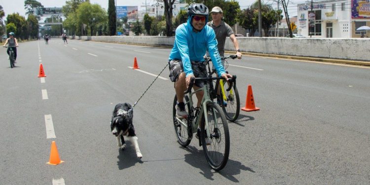 Reúne Reciclatón en la Vía Recreativa Metropolitana a miles de poblanos