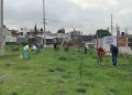 Avanza Gobierno de Pepe Chedraui en la reforestación con la plantación de más de 9 mil árboles