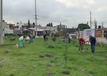 Avanza Gobierno de Pepe Chedraui en la reforestación con la plantación de más de 9 mil árboles
