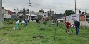 Avanza Gobierno de Pepe Chedraui en la reforestación con la plantación de más de 9 mil árboles