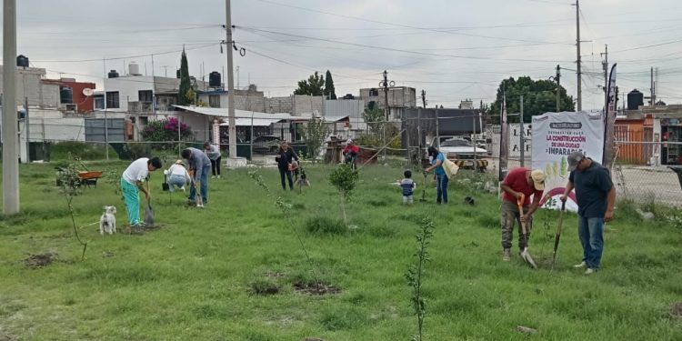 Avanza Gobierno de Pepe Chedraui en la reforestación con la plantación de más de 9 mil árboles