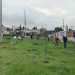 Avanza Gobierno de Pepe Chedraui en la reforestación con la plantación de más de 9 mil árboles