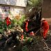 Refuerza Gobierno Municipal acciones preventivas ante la temporada de lluvias en Romero Vargas