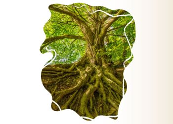 Día Mundial del Árbol