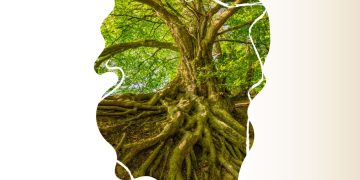 Día Mundial del Árbol