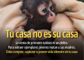 Profepa fortalece acciones para detectar y combatir la venta ilegal de vida silvestre en redes sociales
