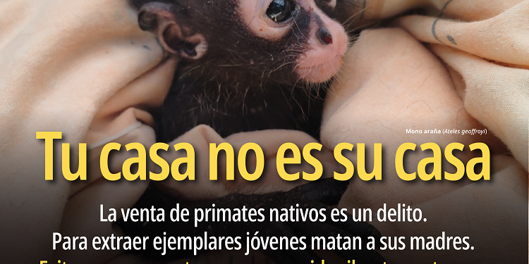 Profepa fortalece acciones para detectar y combatir la venta ilegal de vida silvestre en redes sociales