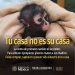 Profepa fortalece acciones para detectar y combatir la venta ilegal de vida silvestre en redes sociales