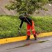 Gobierno Municipal mantiene limpios los alrededores del Estadio Cuauhtémoc tras evento deportivo