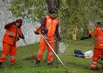 Realiza Ayuntamiento de Puebla jornada de limpieza y chapeo en el Seminario Palafoxiano