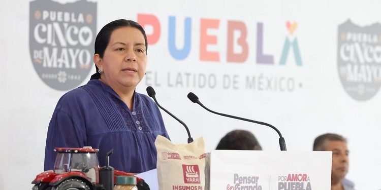 Puebla intensifica combate al gusano barrenador con vigilancia, capacitación y prevención