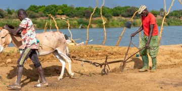 Los países en desarrollo pagan el precio más alto por la crisis energética derivada del conflicto en Oriente Medio