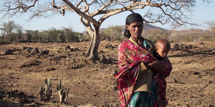La OMM confirma a un 80% la aparición de El Niño, que provocará fenómenos meteorológicos más extremos