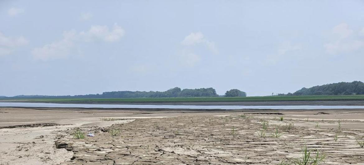 Sequía en Tabatinga, estado de Amazonas, Brasil, en octubre de 2024.