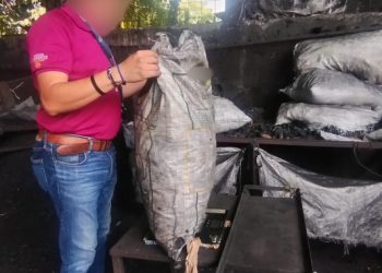 Asegura Profepa 22 toneladas de carbón vegetal de origen ilegal, en Tabasco