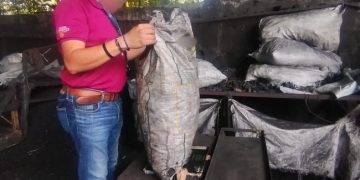 Asegura Profepa 22 toneladas de carbón vegetal de origen ilegal, en Tabasco