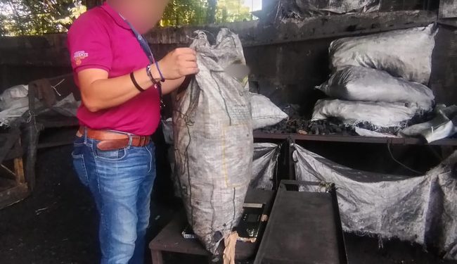Asegura Profepa 22 toneladas de carbón vegetal de origen ilegal, en Tabasco