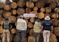 Profepa asegura más de 3,000 m³ de madera en aserradero en Michoacán