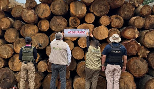 Profepa asegura más de 3,000 m³ de madera en aserradero en Michoacán