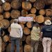 Profepa asegura más de 3,000 m³ de madera en aserradero en Michoacán