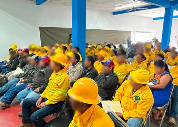 Profepa y Conanp capacitan a 11 comités de vigilancia ambiental participativa en Oaxaca