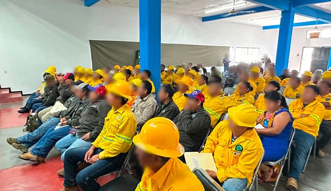 Profepa y Conanp capacitan a 11 comités de vigilancia ambiental en Oaxaca