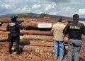 Asegura Profepa 558 m³ de madera y clausura aserradero ilegal, durante un cateo en Michoacán