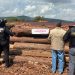 Asegura Profepa 558 m³ de madera y clausura aserradero ilegal, durante un cateo en Michoacán