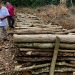Profepa y GN desmantelan 13 hornos ilegales usados en la producción de carbón vegetal, en la Sierra de Tamaulipas