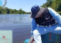 Atienden denuncia por mortandad de peces en el Río Limón en Veracruz