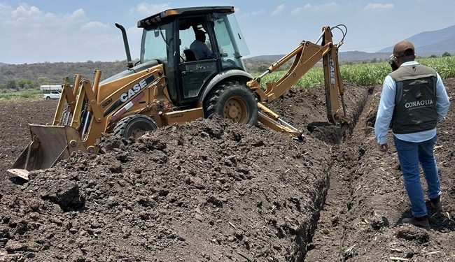 Impulsan en el sector agrícola parcela demostrativa de riego por goteo subterráneo en Morelos