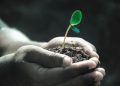 El Día Internacional de la Conservación del Suelo