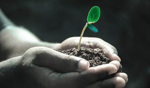 El Día Internacional de la Conservación del Suelo