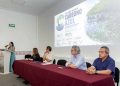 Priorizan agenda sobre carbono azul en ecosistemas costeros