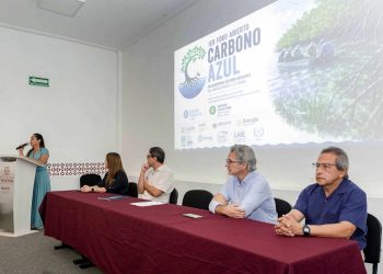 Priorizan agenda sobre carbono azul en ecosistemas costeros