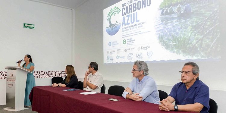 Priorizan agenda sobre carbono azul en ecosistemas costeros