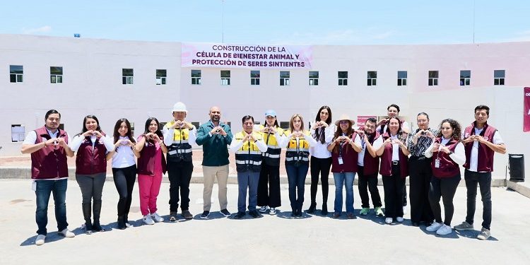 Registra 77 por ciento de avance la primera Célula de Bienestar Animal del Estado