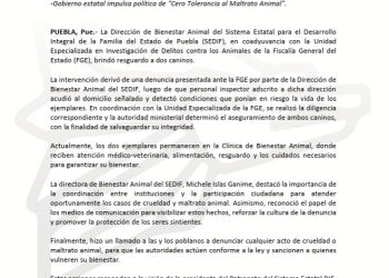 SEDIF fortalece acciones contra el maltrato animal en la entidad