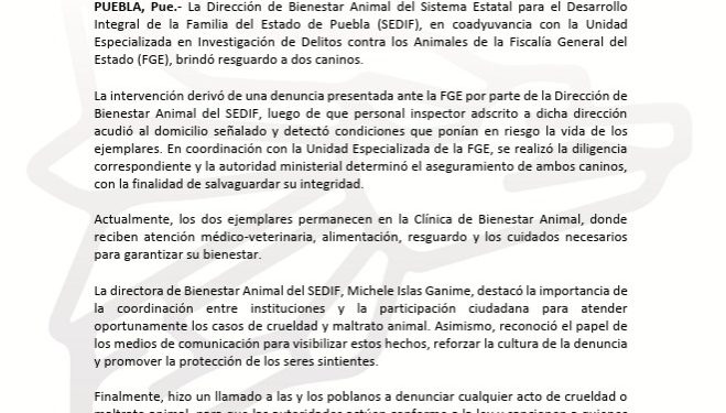 SEDIF fortalece acciones contra el maltrato animal en la entidad