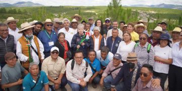 Reforestar 32,764 hectáreas con 15.5 millones de árboles prevé Gobierno Federal