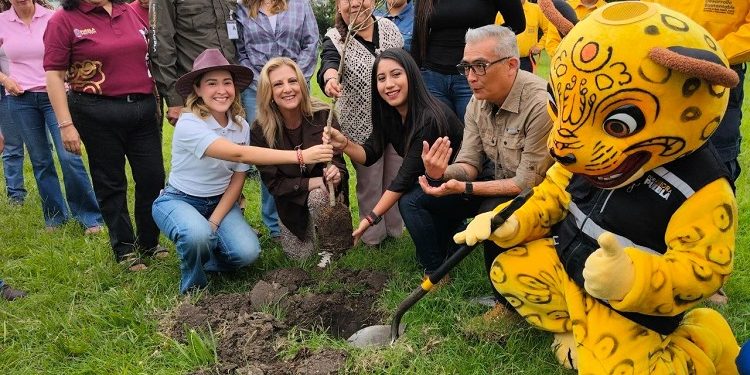 Gobierno estatal plantará 2 millones de árboles con visión integral de restauración