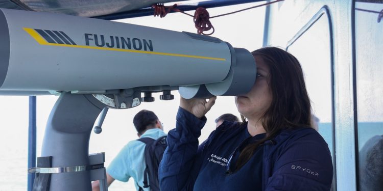 Capacitan a observadores para conservación de la vaquita marina