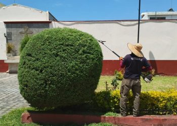 Refuerza Tonantzin Fernández acciones de servicios públicos para mejorar la imagen urbana de San Pedro Cholula