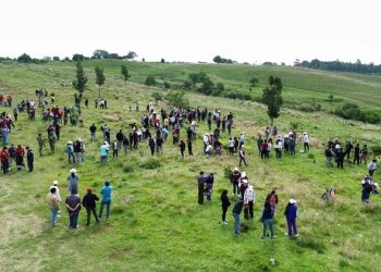 Impulsa Tonantzin Fernández acciones permanentes de reforestación en el Cerro Zapotecas
