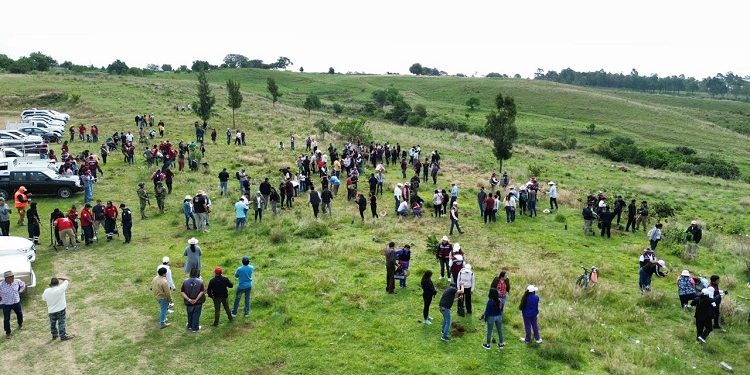 Impulsa Tonantzin Fernández acciones permanentes de reforestación en el Cerro Zapotecas